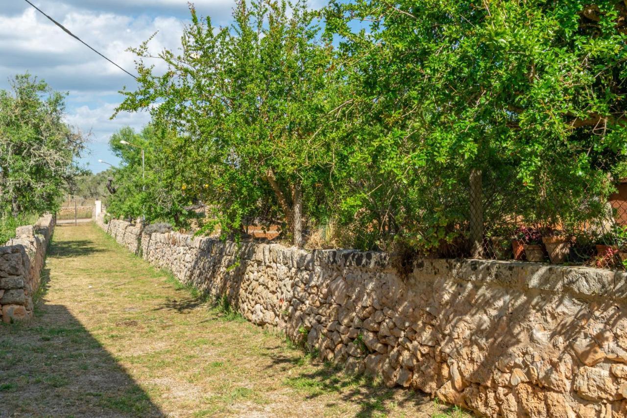 Can Fiolet Algaida  Exterior photo