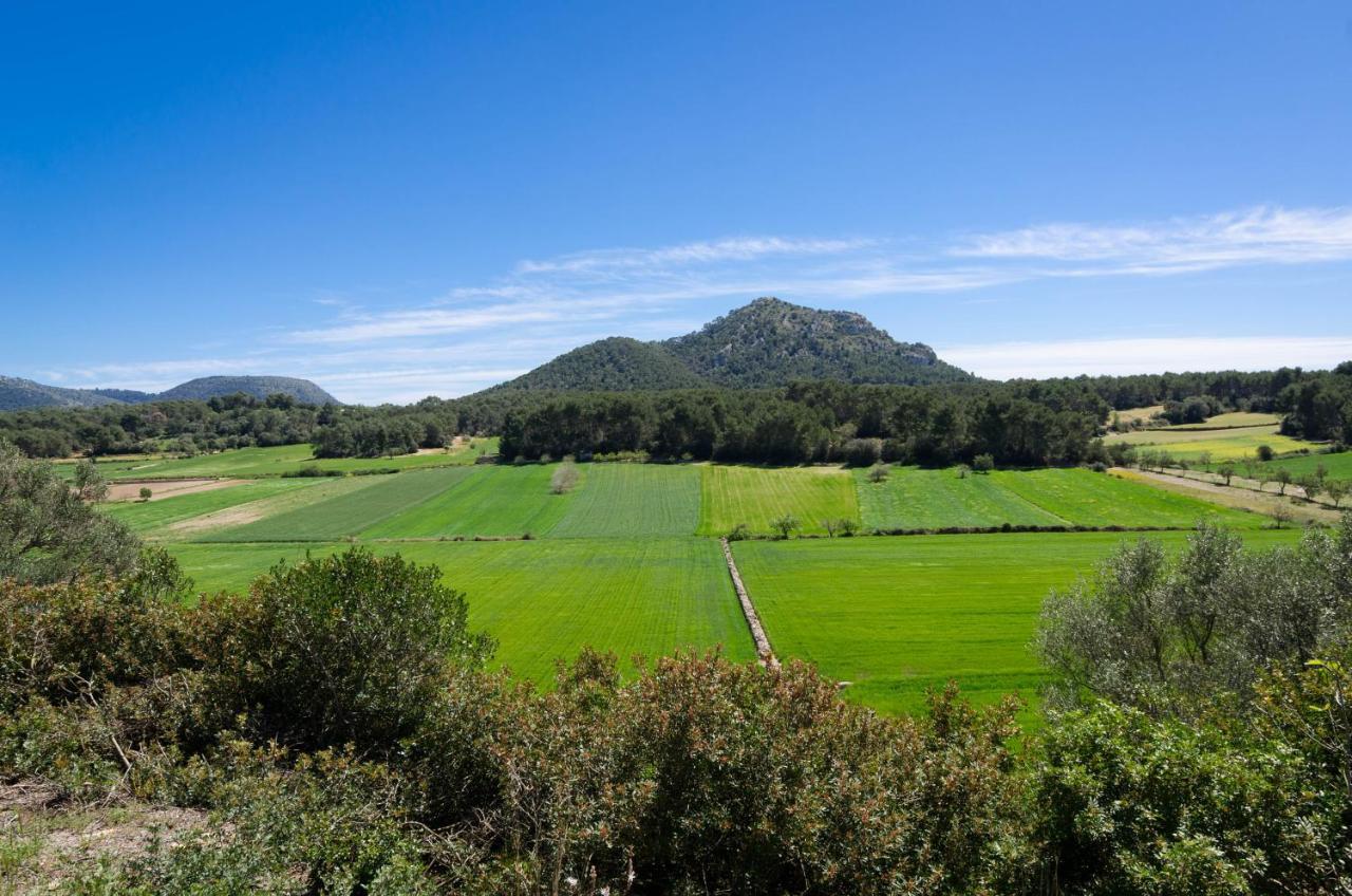 Can Fiolet Algaida  Exterior photo
